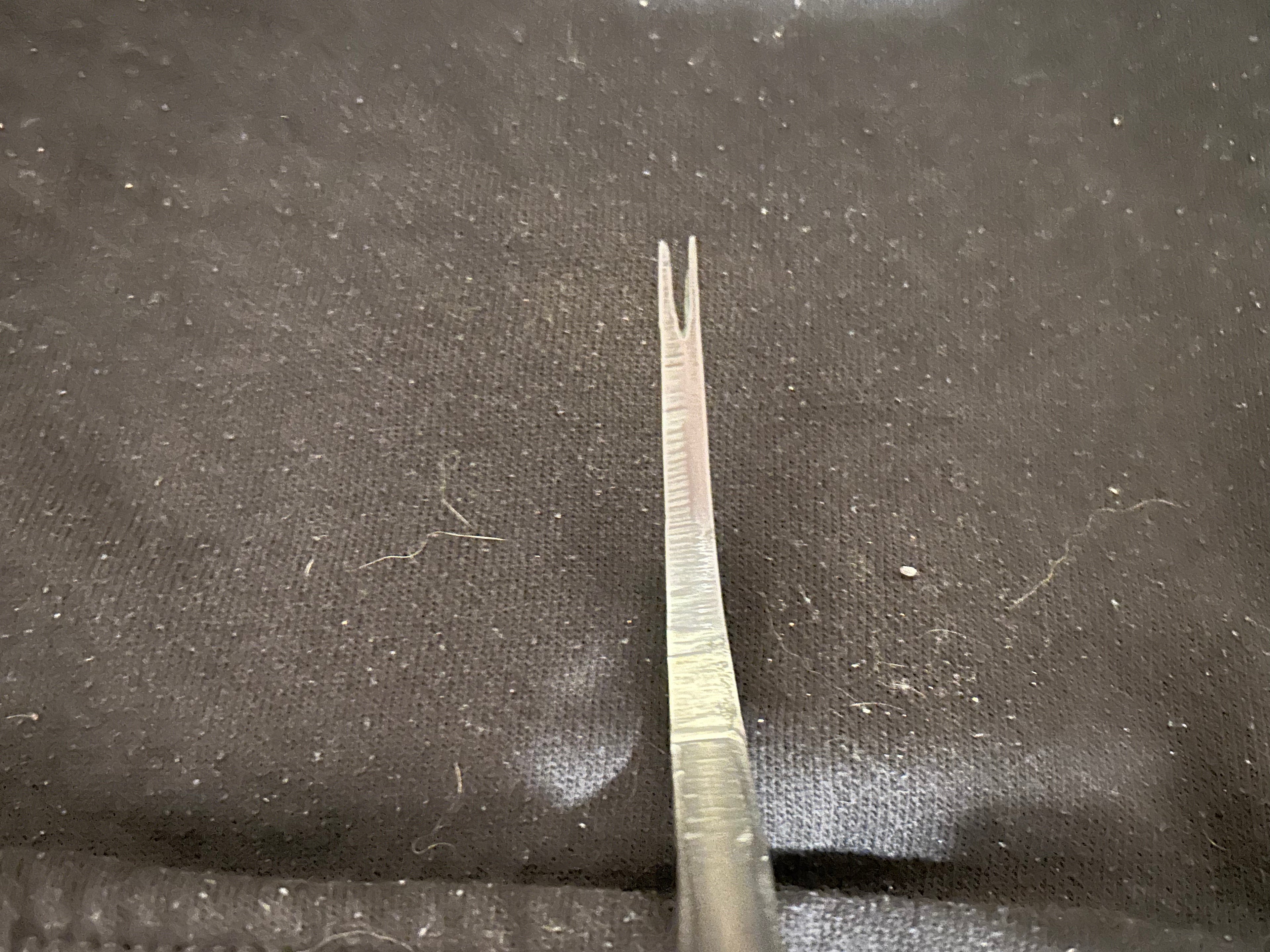 Taxidermy Nail/Staple puller